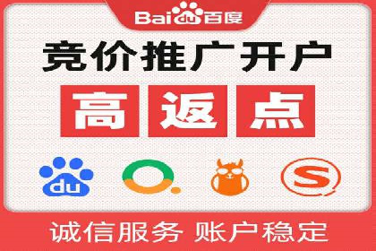 竞价广告赚钱秘籍：百度实战案例